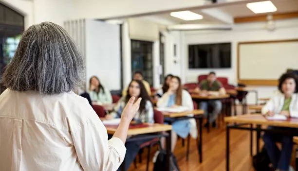 lady teaching stock image